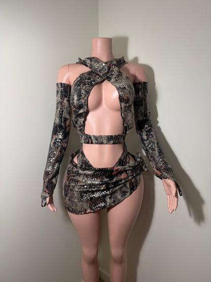 Animal Print Dance Costume