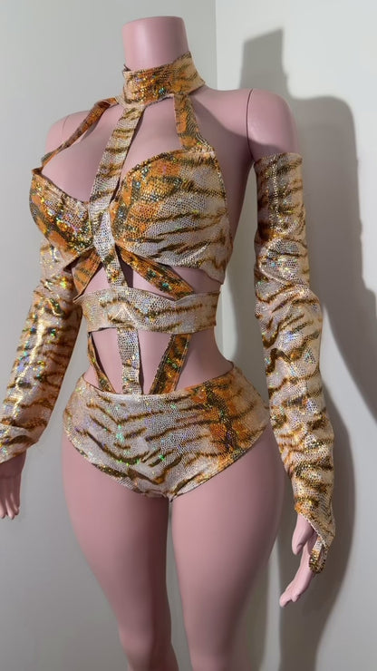 Tiger Queen Costume