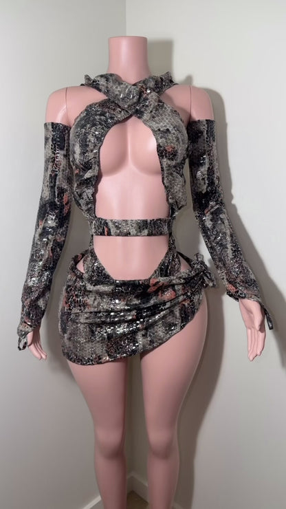 Animal Print Dance Costume